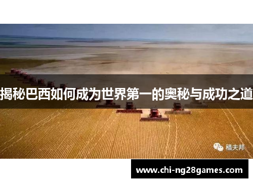 揭秘巴西如何成为世界第一的奥秘与成功之道