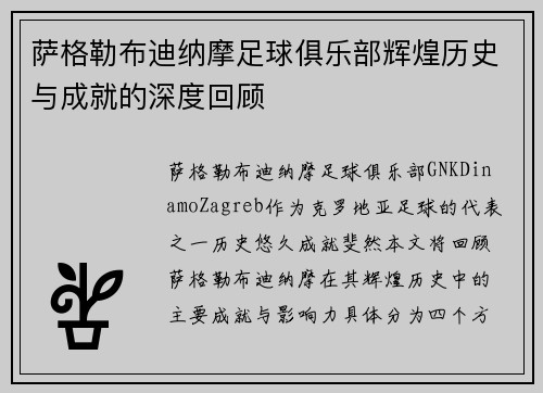 萨格勒布迪纳摩足球俱乐部辉煌历史与成就的深度回顾