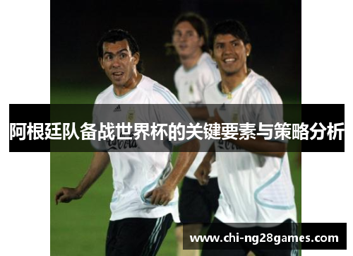 阿根廷队备战世界杯的关键要素与策略分析