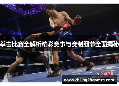 拳击比赛全解析精彩赛事与赛制细节全面揭秘 拳击比赛全解析精彩赛事与赛制细节全面揭秘