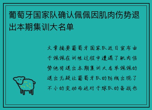 葡萄牙国家队确认佩佩因肌肉伤势退出本期集训大名单